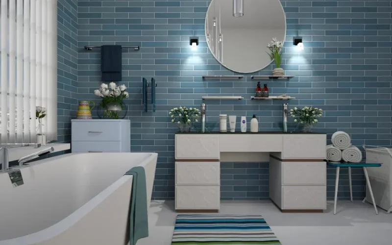 bathroom-remodel-home-1024x576
